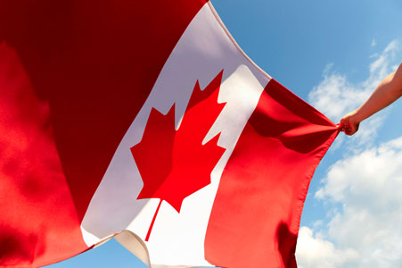 C11 Work Permit: Complete Guide